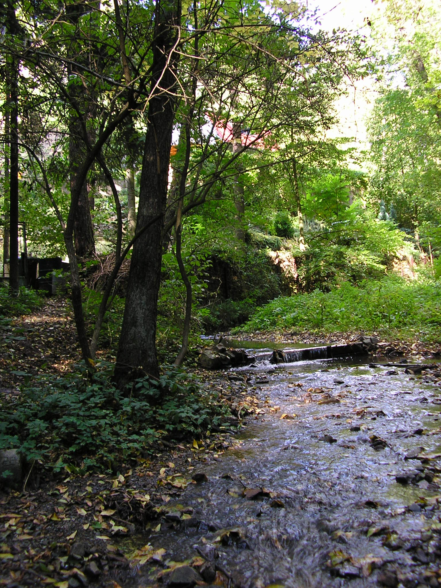 P9150089