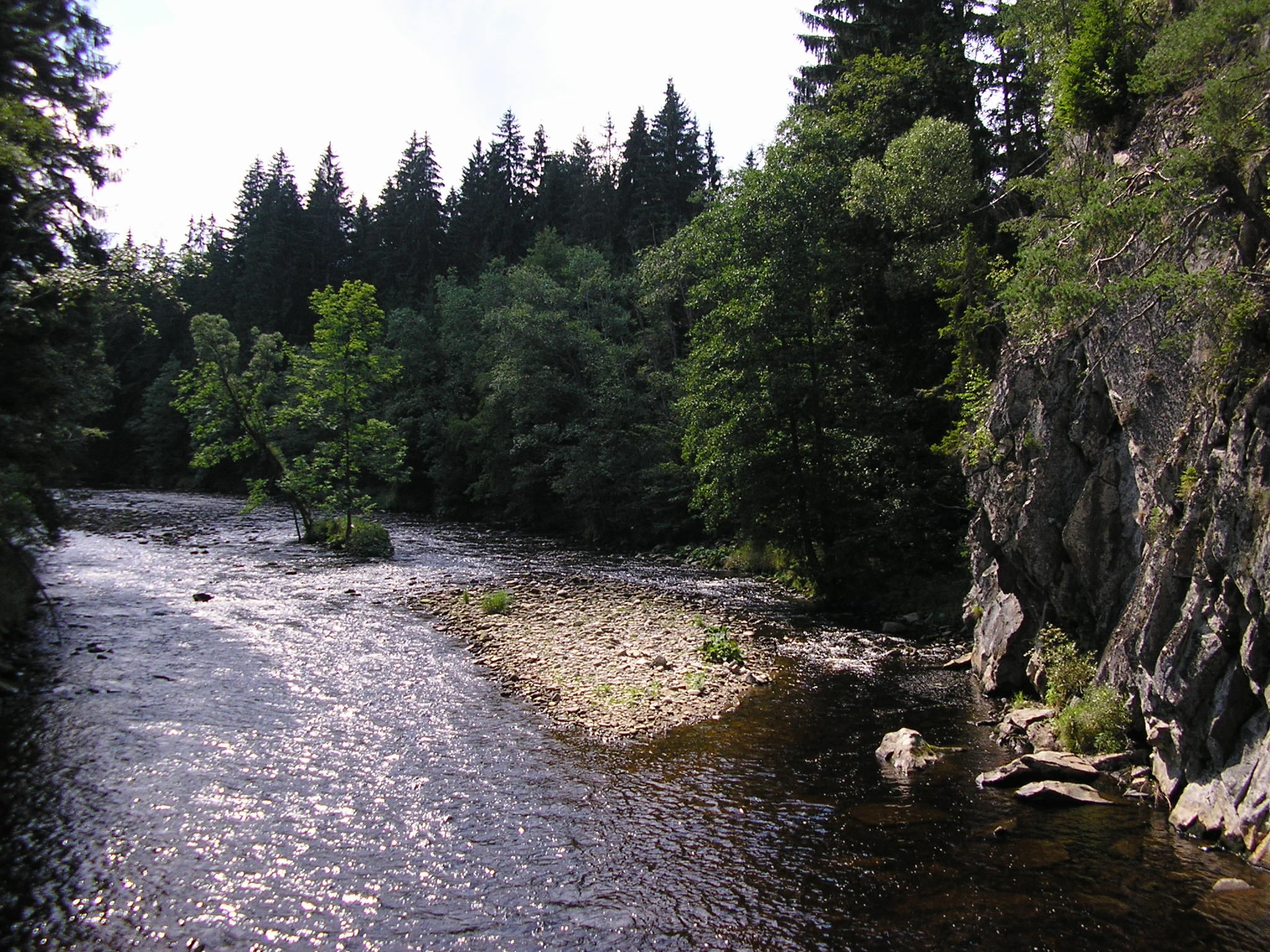 P8190009
