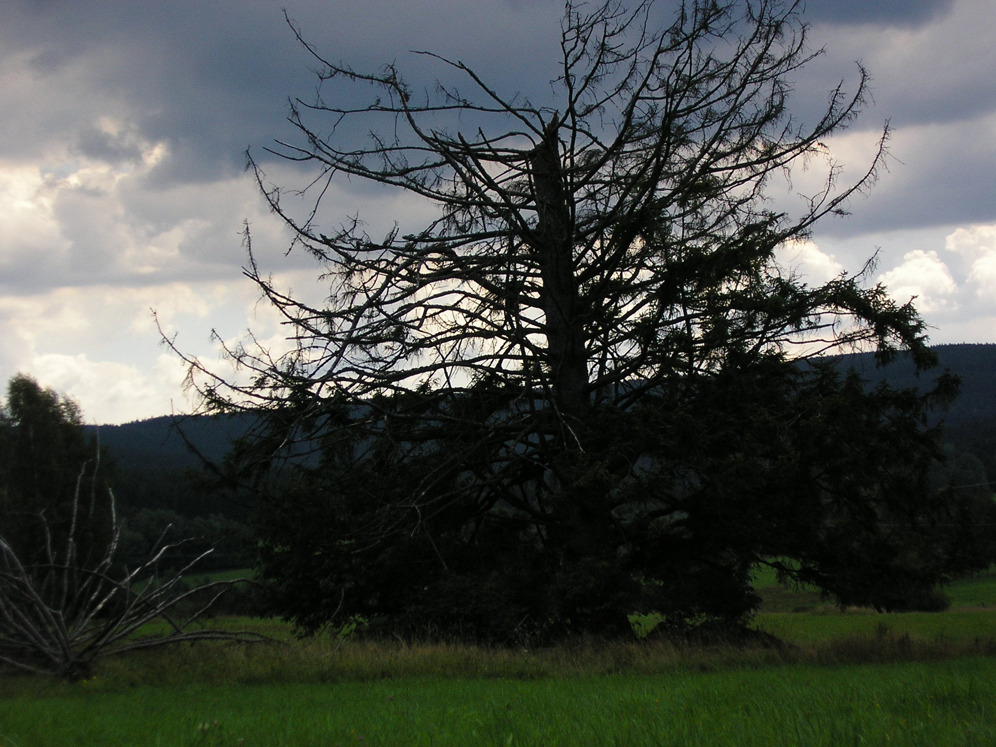 P8260036